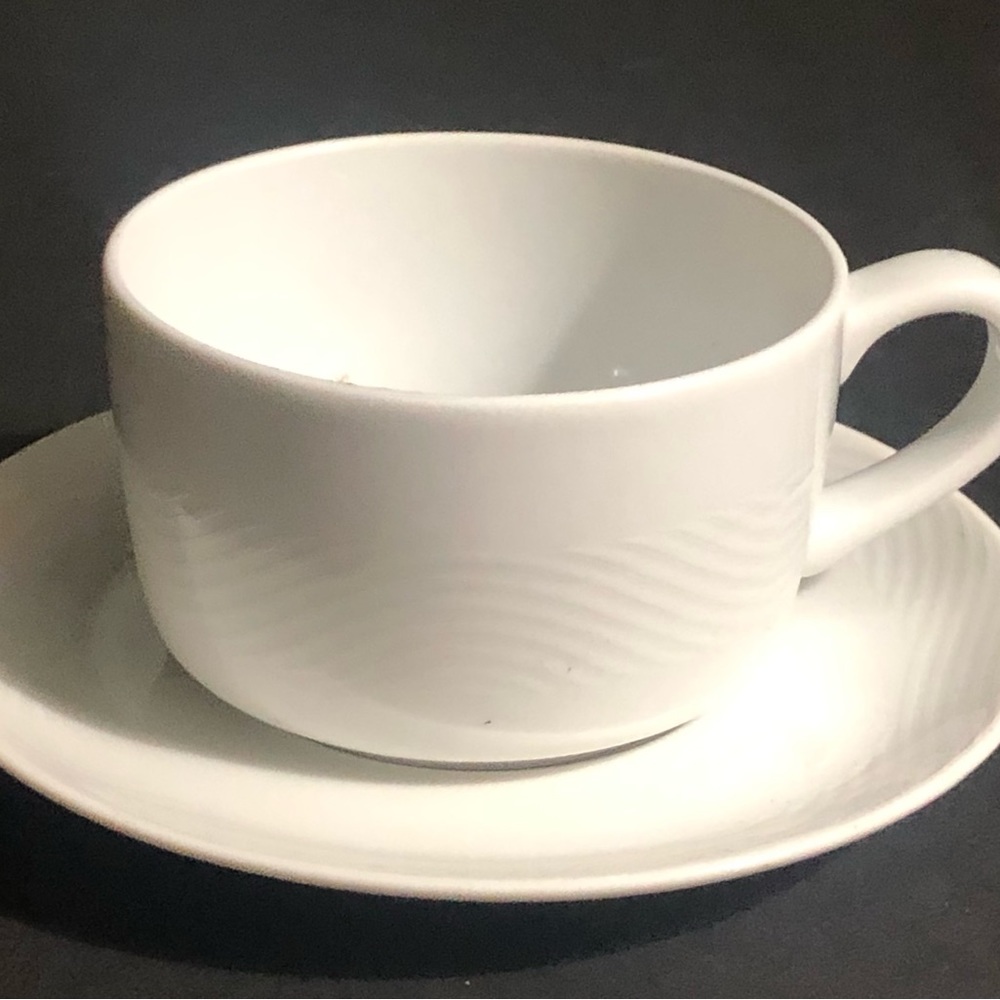Pan Am Airlines Coffee Cup & Saucer Set Bauscher Weiden Germany Wave Pattern NOS